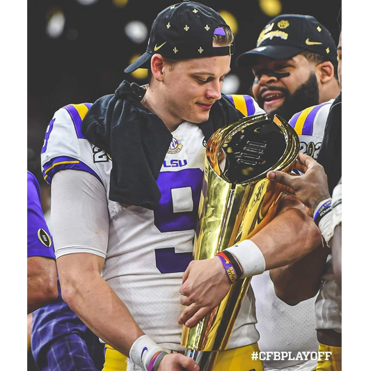 LSU VISITA