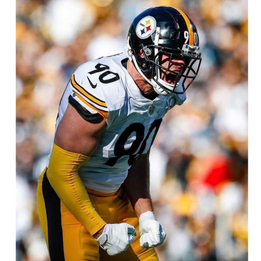 JERSEY STEELERS VISITA PARA NIÑOS NFL
