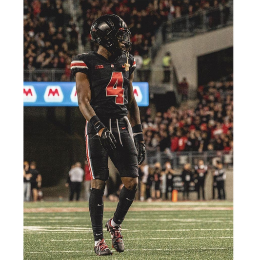 BUCKEYES OHIO STATE ALTERNATIVO NEGRO