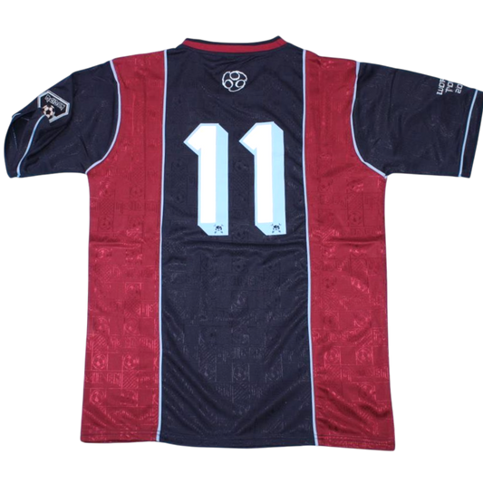 JERSEY IRON MAIDEN 2011