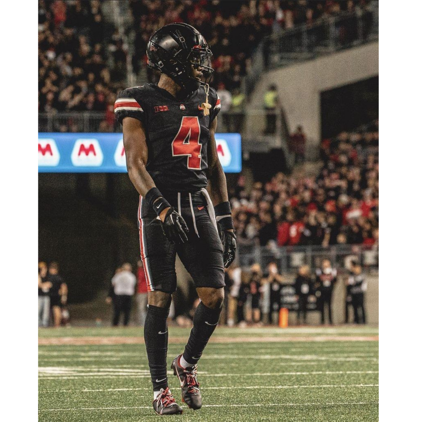 BUCKEYES OHIO STATE ALTERNATIVO NEGRO