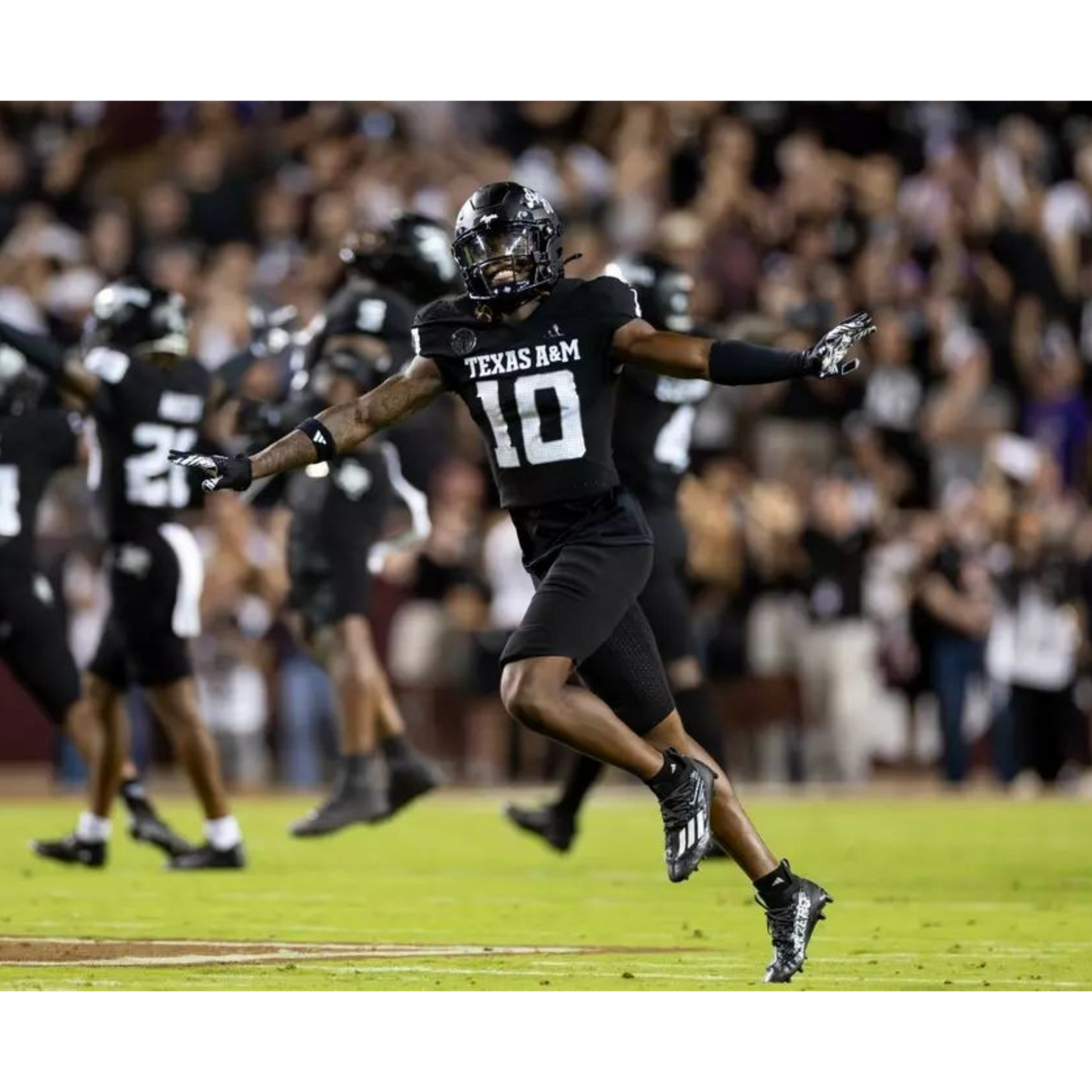 TEXAS A&M ALTERNATIVO