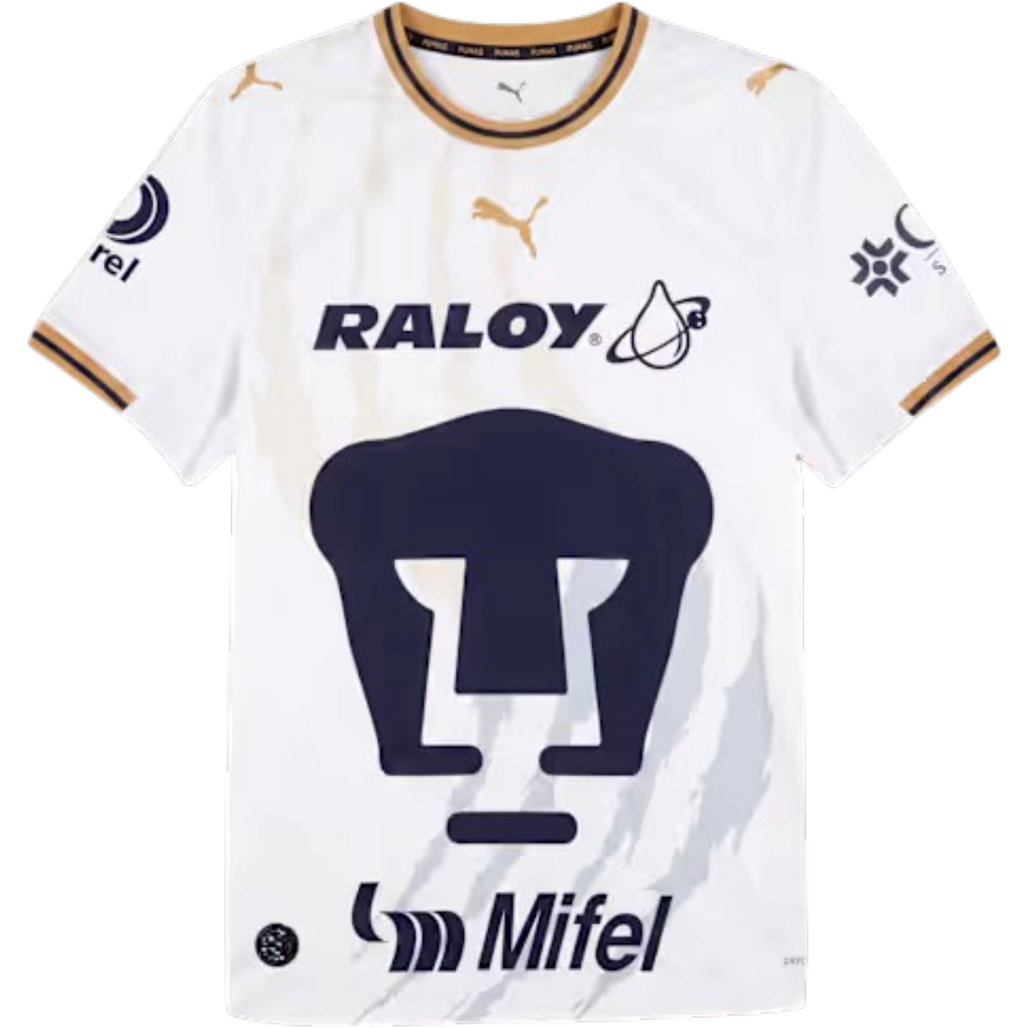 JERSEY PUMAS LOCAL 26/27